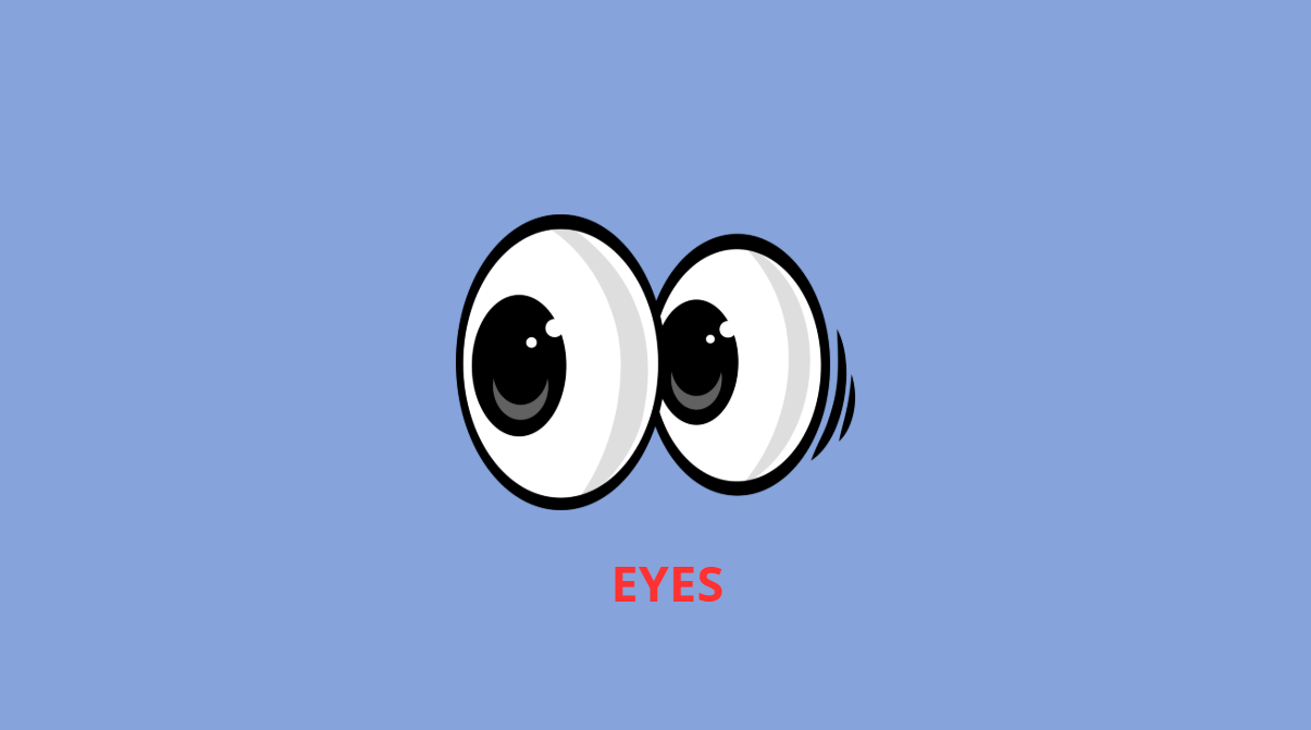 Flashcards Parties Corps Anglais B1 | Tracy's Lessons