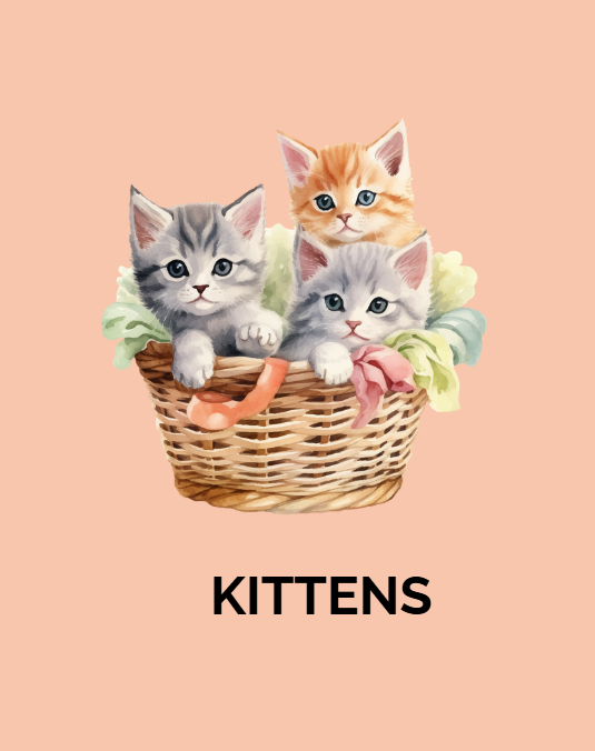 FLASHCARDS ANIMAUX ANGLAIS / PETS