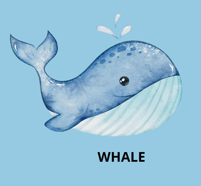 FLASHCARDS SEA ANIMALS IN ENGLISH