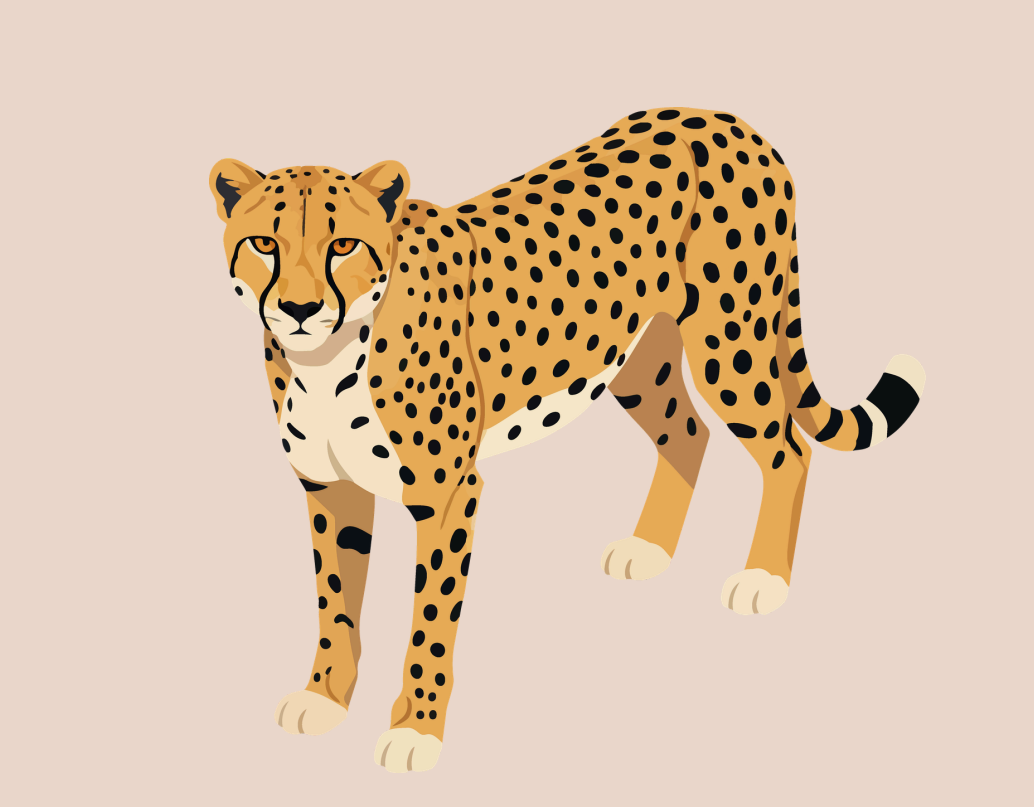 Savanna animals 